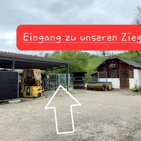 Ferienwohnung/Monteurzimmer auf dem Bauernhof Mörlenbach Exterior foto